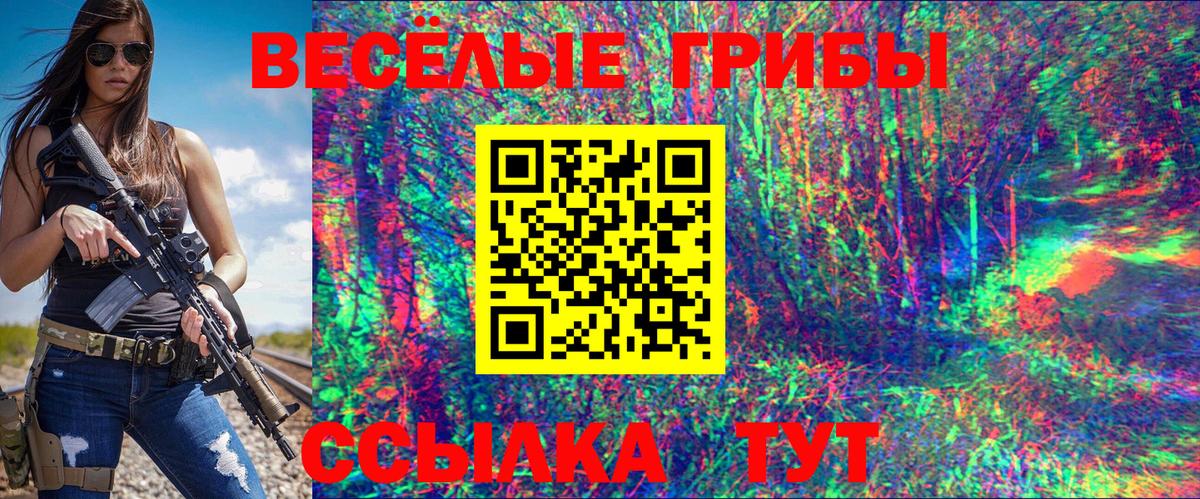 ГАШ Нефтекумск