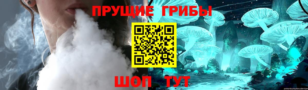 Псилоцибиновые грибы GOLDEN TEACHER  Вход с VPN  Нефтекумск  Галлюциногенные грибы MAGIC MUSHROOMS 